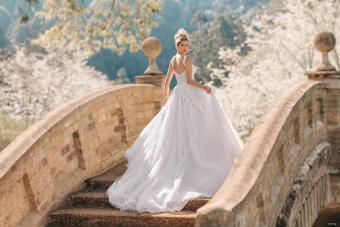Disney Fairy Tale Weddings Style #D373 #10 thumbnail