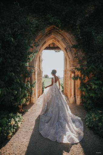 Disney Fairy Tale Weddings Style #DP358 #11 thumbnail